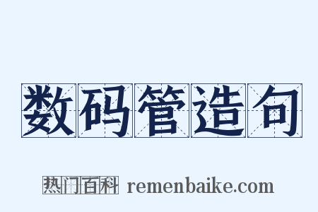 数码管造句是什么意思的图片